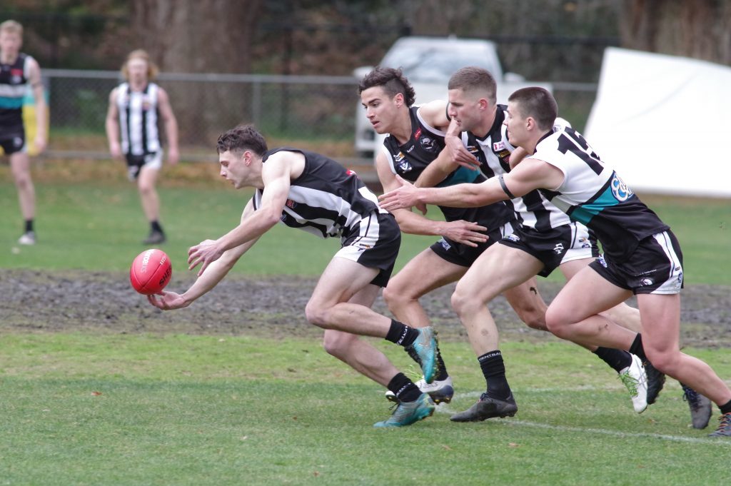 Magpies soar to victory
