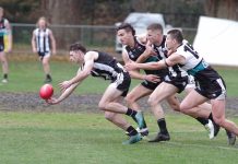 Magpies soar to victory