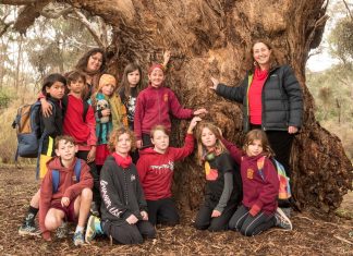 Walk for reconciliation