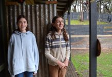 A tale of two friends