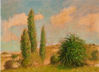 Artist floor talk at CAM