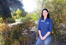 Chicks in Sticks co-founder named award finalist