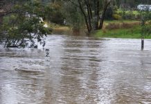 Harcourt flood study kicks off