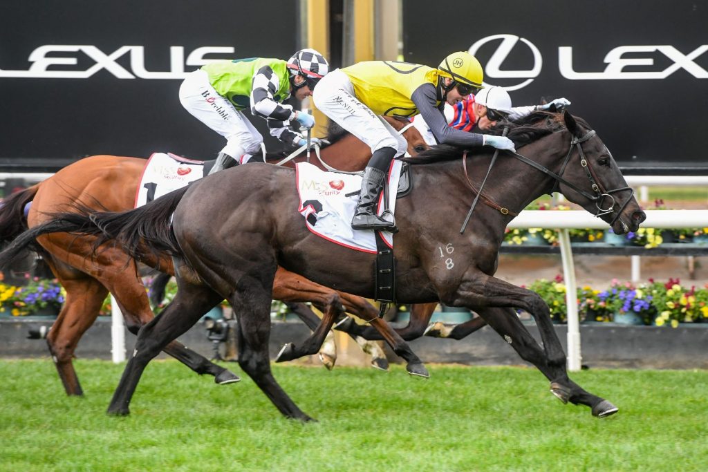 Bright future for stable star