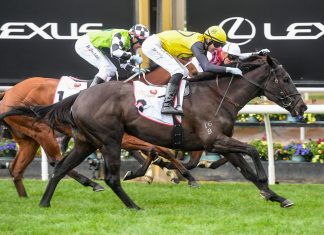 Bright future for stable star