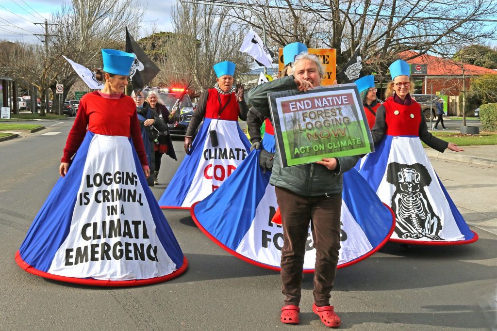 Snap rally to stop logging