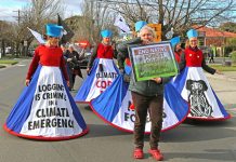 Snap rally to stop logging