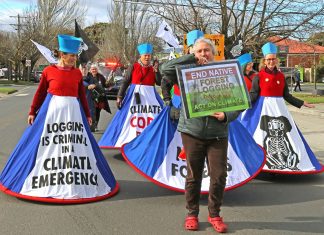 Snap rally to stop logging