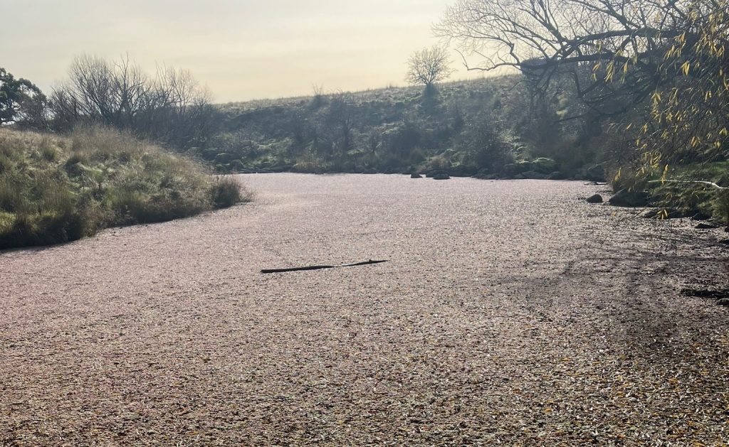 Licence amendment to EPA