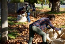 Our organics are not ‘waste’