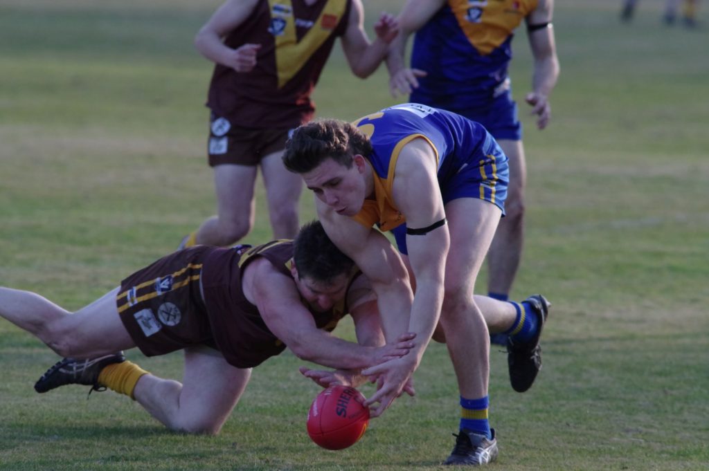 Harcourt, Newstead claim wins in MCDFNL