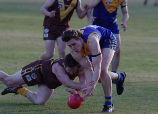 Harcourt, Newstead claim wins in MCDFNL