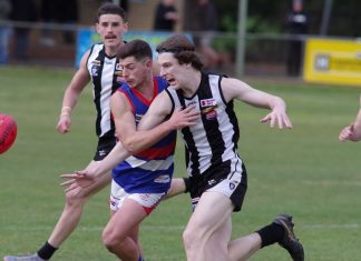 Bulldogs dominate at Camp Reserve