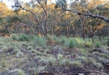 Bid for state acquisition