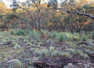 Bid for state acquisition