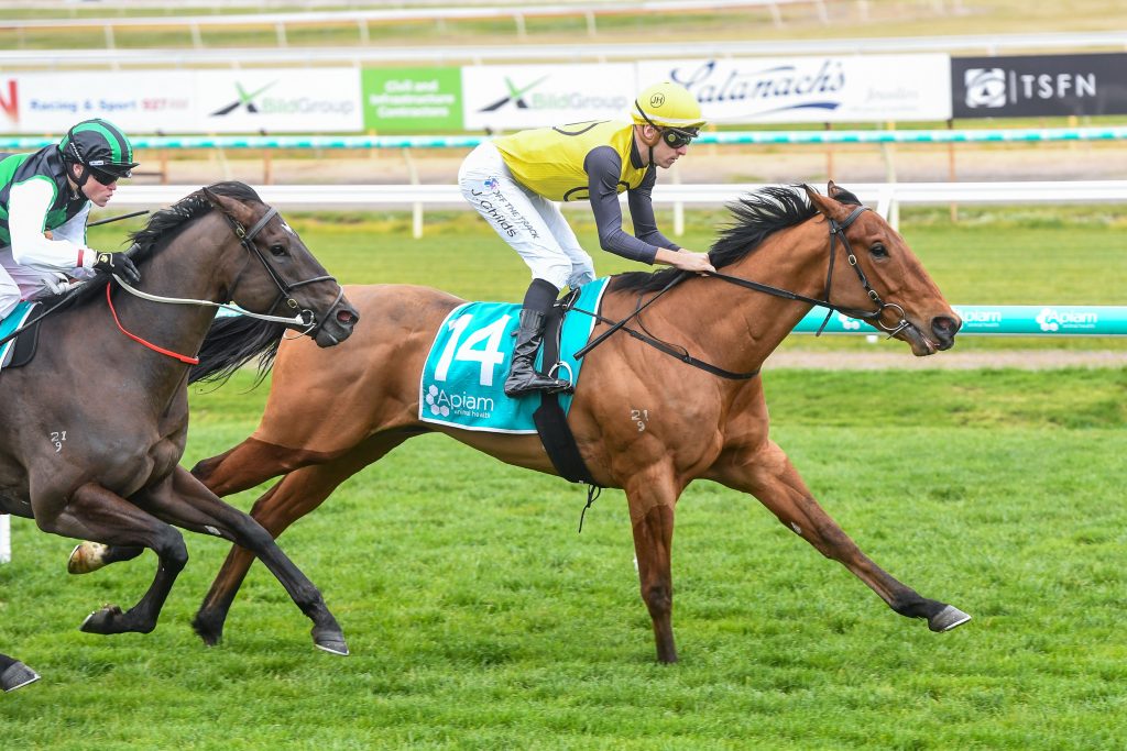 Gallopers put best feet forward