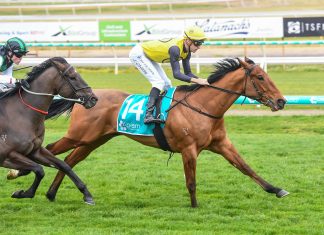 Gallopers put best feet forward