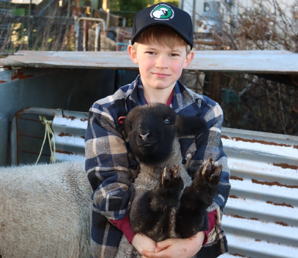 A sheep stud of Seb’s own