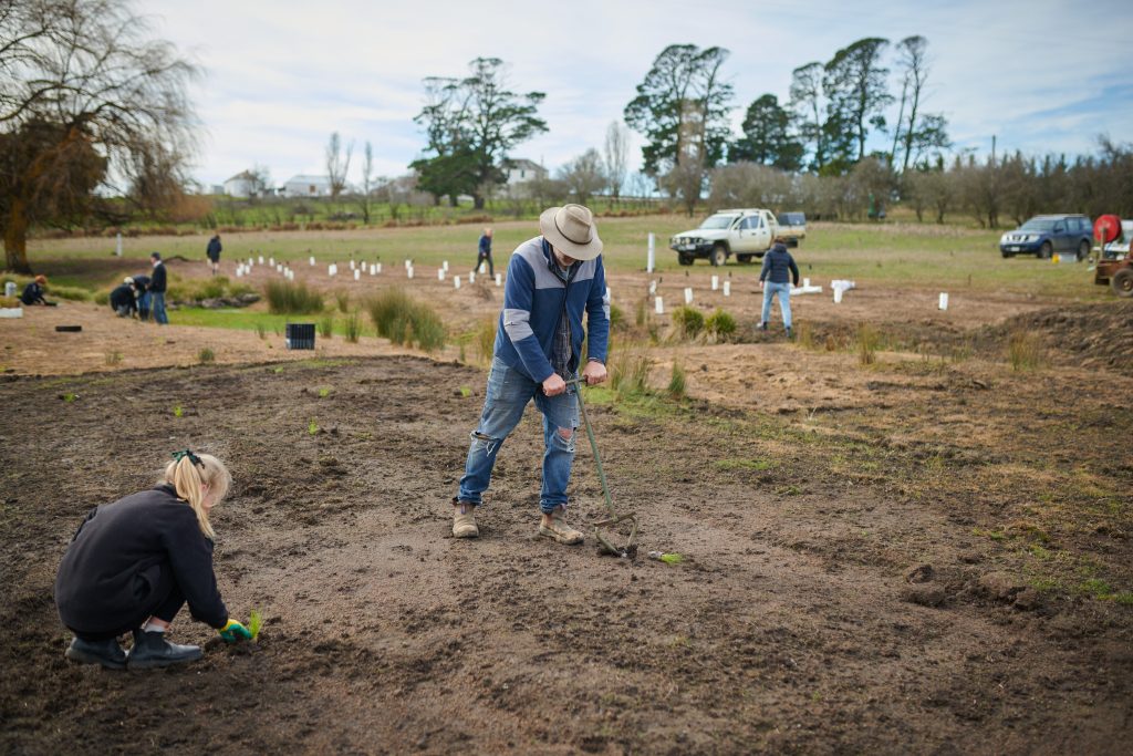 Giving new life to the creek