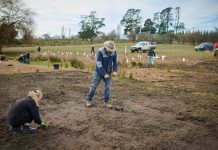 Giving new life to the creek