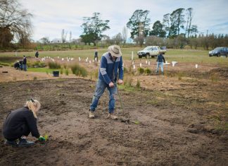 Giving new life to the creek