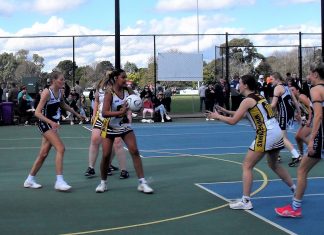 Hawks netballers in grand final