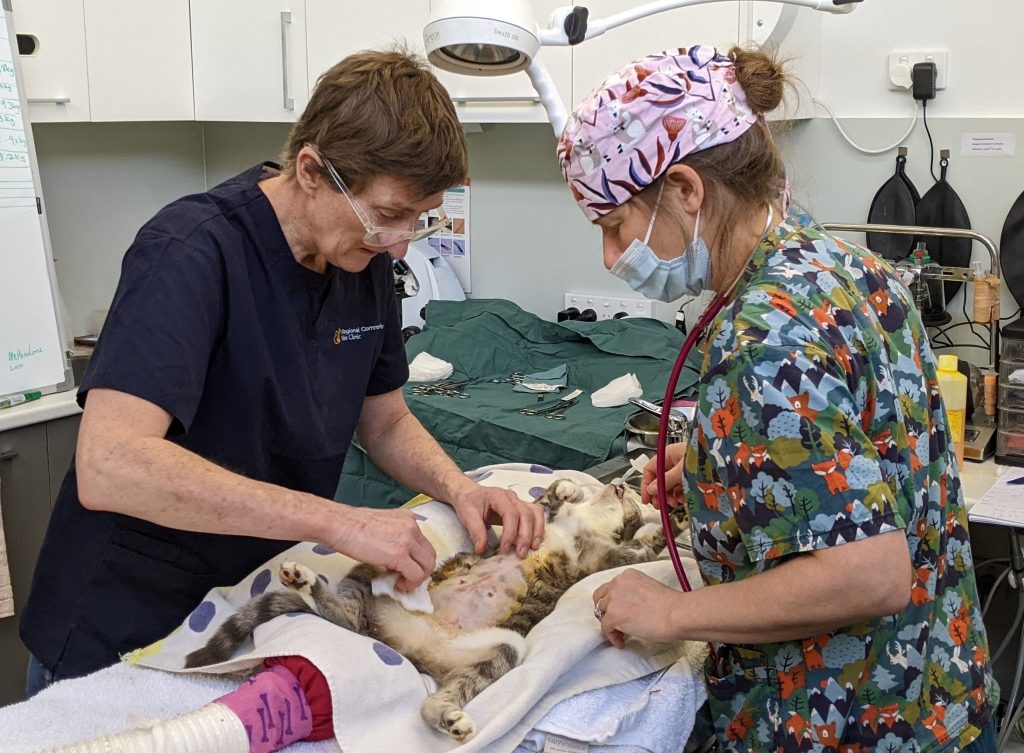 $200k boost for vet clinic