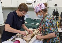 $200k boost for vet clinic