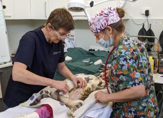 $200k boost for vet clinic