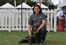 National success for Kyneton breeders