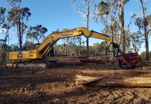 Campaign to protect the forest