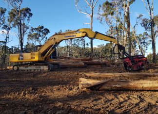 Campaign to protect the forest