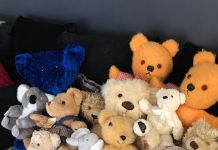 Making life more bear-able