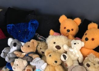 Making life more bear-able