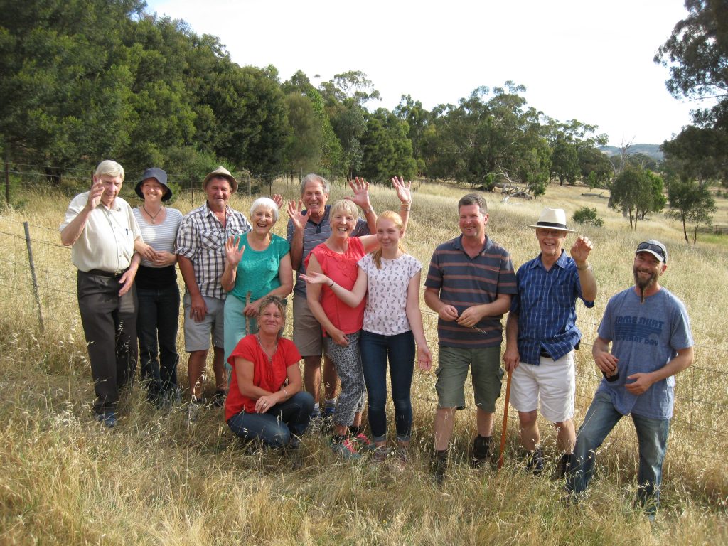 Ballantinia, banksias and blue-banded bees