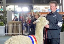 Precision’s double supreme