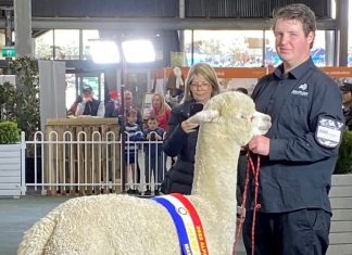 Precision’s double supreme