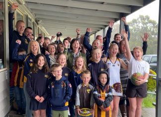 Nearly $1M to boost netball