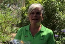 Golf leader’s recognition