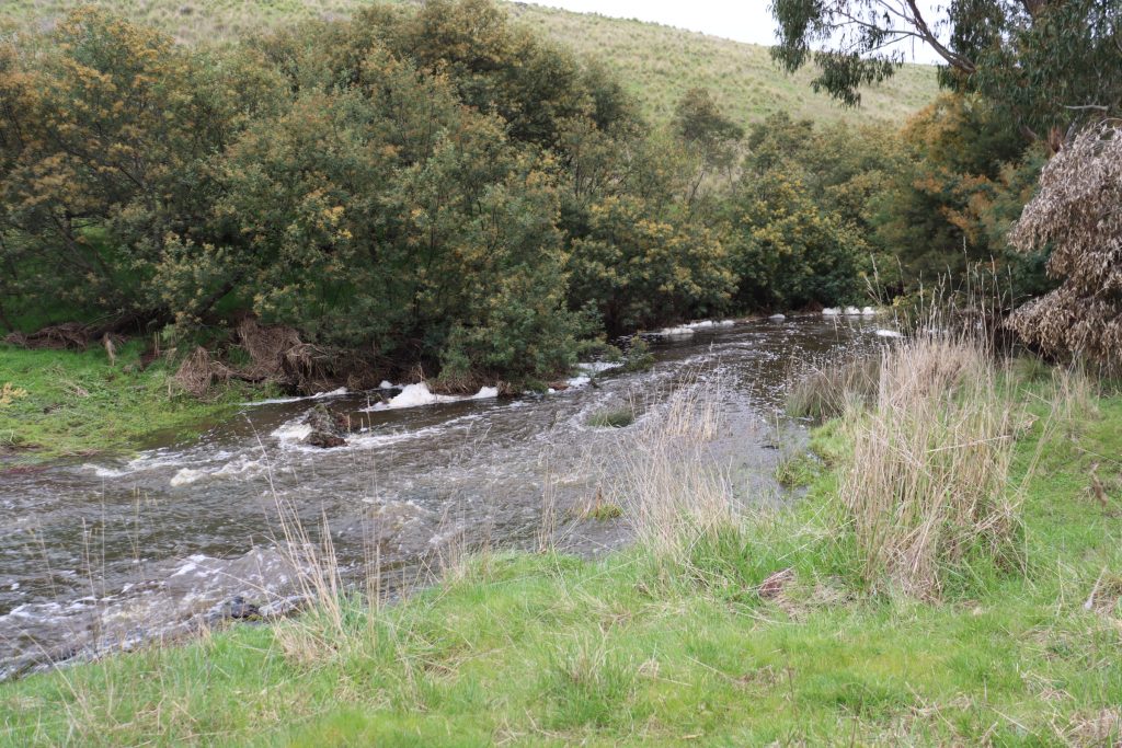 Legal action over creek