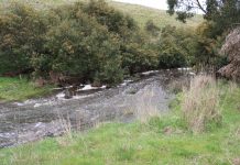 Legal action over creek