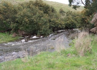 Legal action over creek