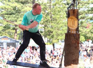 Don’t miss the Show!