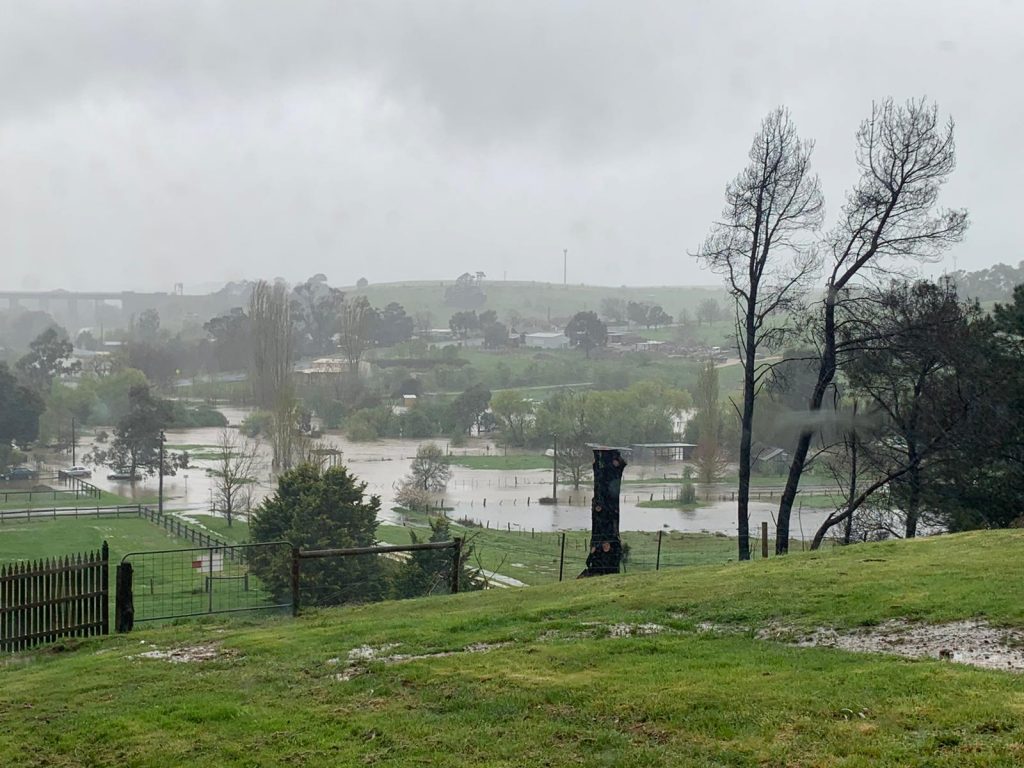 Flood damage widespread