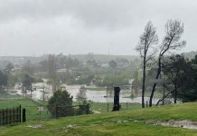 Flood damage widespread