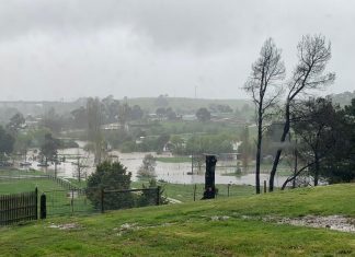 Flood damage widespread