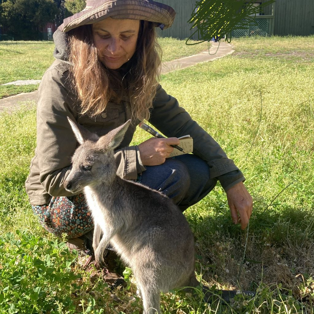Celebrating World Kangaroo Day