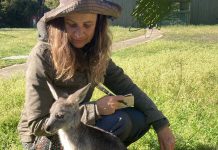 Celebrating World Kangaroo Day