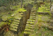 Goldfields history on the market