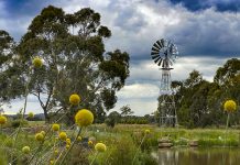 A bloomin’ good weekend